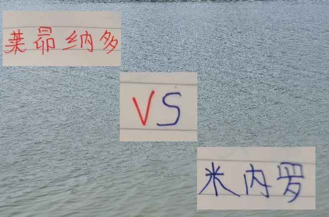 中超 11 轮后申花米内罗与海港莱昂纳多对比，谁才是巴西外援榜一大哥？