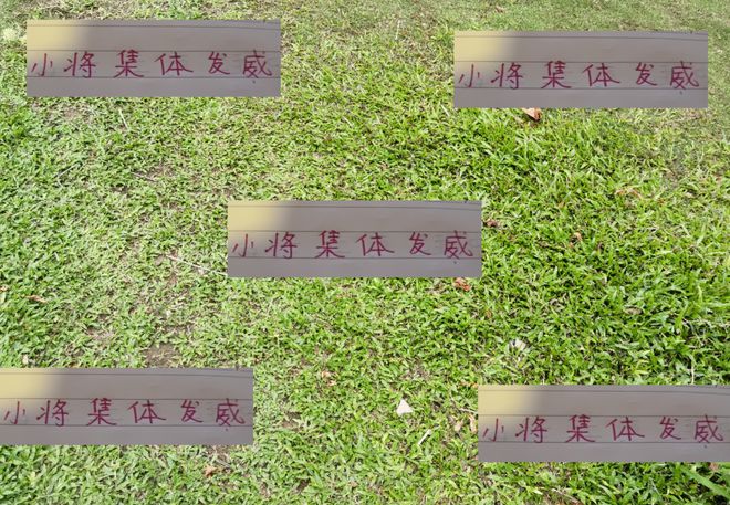 中超第12轮堪称年轻人的天下，多小将进球刘诚宇连续两场破门